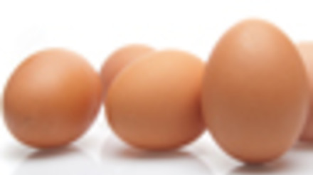 Produção de ovos no 2º trimestre de 2011 atingiu 633,4 milhões de dúzias