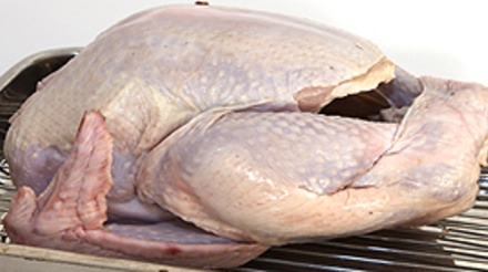 Receita acumulada das exportações de carne de frango cresce 5,2% em 2013