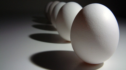 Produção de ovos de galinha aumenta 4,3% em relação a 2010