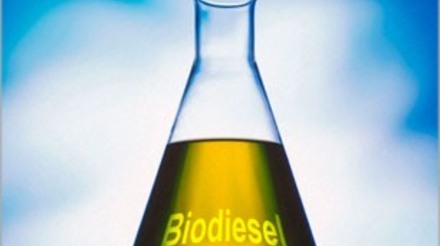 Biodiesel: Concessão do Selo Combustível Social beneficiará PR e SC