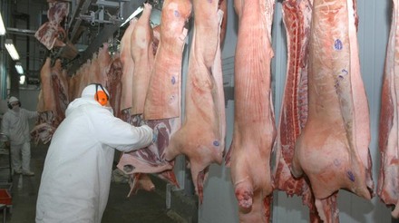 Exportações de carne suína totalizaram 52 mil t em outubro