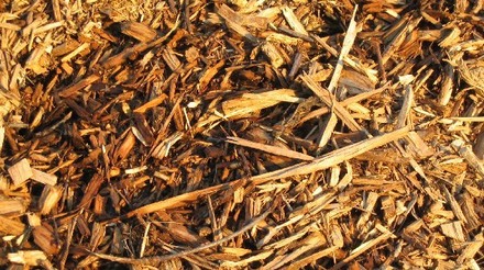 Biomassa cresce na produção de energia e biocombustíveis
