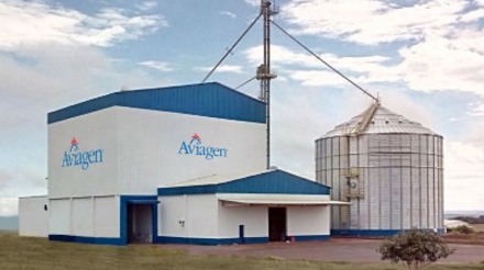 Aviagen inicia operação em sua nova e moderna fábrica de ração