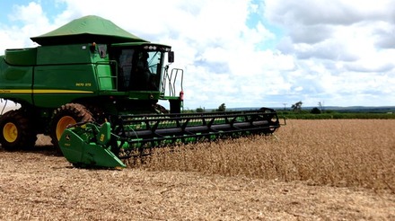 Calor na Argentina atinge recorde e causa danos na colheita de soja