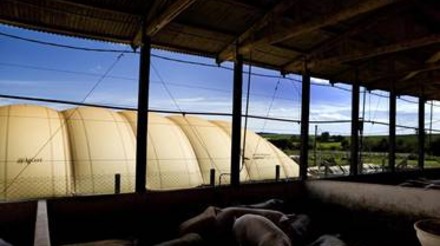 GEF Biogás Brasil lança  novo curso remoto gratuito sobre fundamentos do biogás