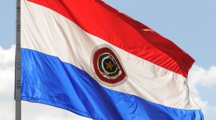 Paraguai se declara país livre do vírus da influenza aviária