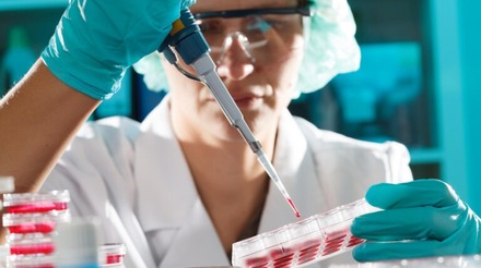 USDA: Vacina contra o vírus da PSA passa nos testes necessários para aprovação regulatória