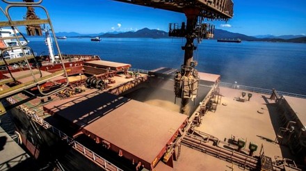 Movimentação de granéis sólidos no Porto de Santos tem aumento de 17,3% em setembro