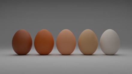 Ovos cultivados de empresa canadense estarão disponíveis comercialmente antes do final do ano
