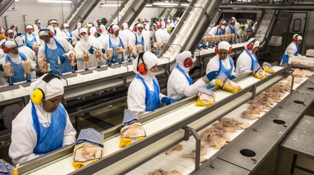 África do Sul suspende tarifas de frango para aliviar pressões de preços