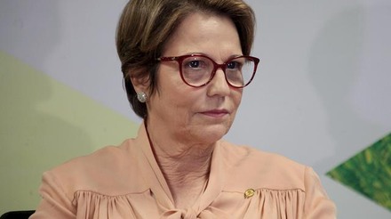 Ministra da Agricultura, Tereza Cristina é diagnosticada com covid-19
