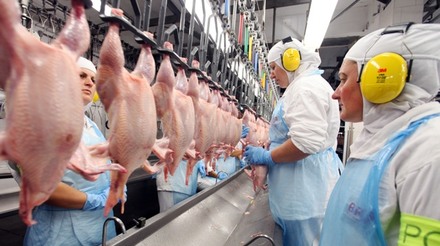 Exportações de carne de frango aumentaram 10,6% no primeiro bimestre