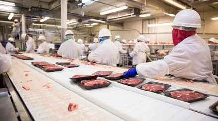 Estoques de carne suína em frigoríficos têm queda de 6% em relação ao ano anterior, nos EUA