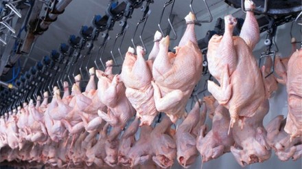 Cuba importó casi 300 millones de dólares en carne de pollo de EEUU