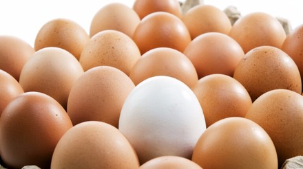 Produção de ovos recua 49% em 10 anos