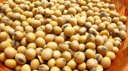 Colheita de soja atinge 71% de área cultivada em safra 2017/18