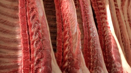Disponibilidade interna de carne suína deve aumentar 1,39% em 2019