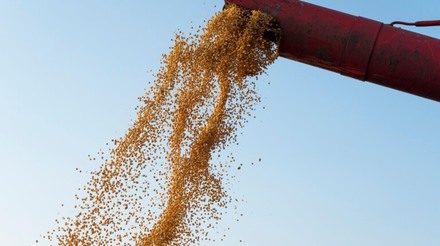 Seca nos EUA ameaça colheita de grãos e gera preocupações com inflação dos alimentos