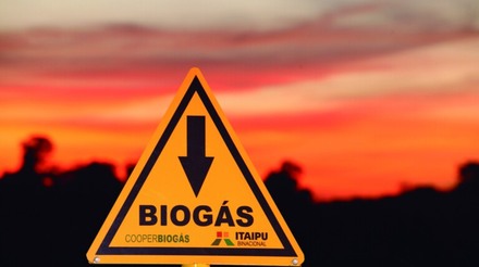 Shell e Unicamp firmam parceria para pesquisas em biogás