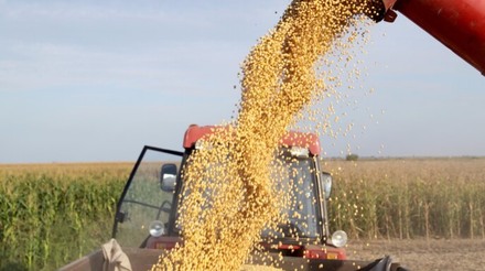 Previsões climáticas impulsionam contratos futuros da soja e milho em mais de 1%