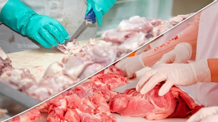 Produção de carnes de frango e suína devem crescer no próximo ano