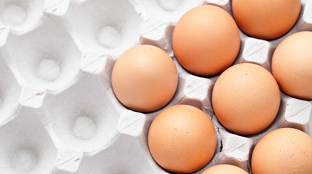 Preços de ovos continuam em queda pela quarta semana consecutiva