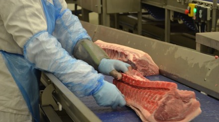 Embarques de carne suína aumentaram 16,9%