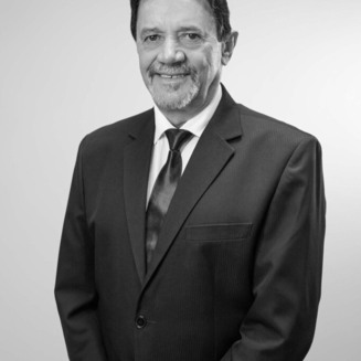 Luiz Vicente Suzin