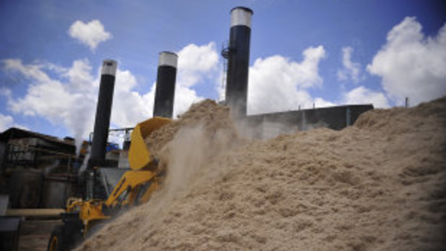 Seis termoelétricas de biomassa poderão se instalar no MS