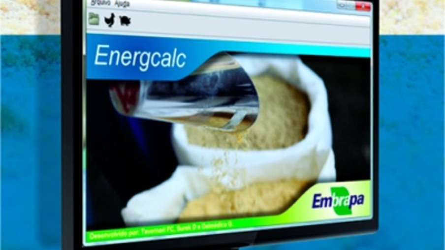 Embrapa lança software para cálculo de energia metabolizável em suínos e aves