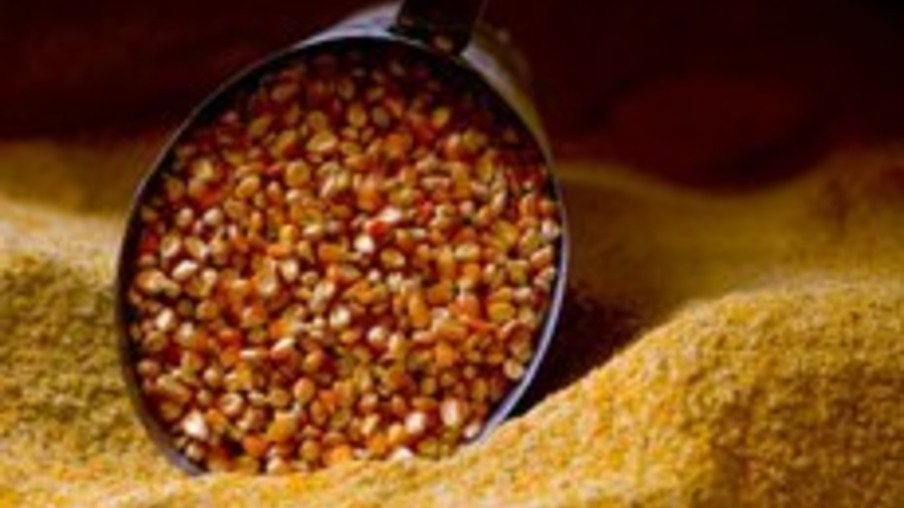24 mil t de milho são vendidas em leilões