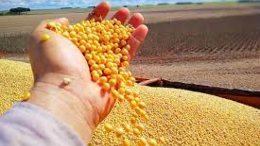 Paraná projeta safra recorde de grãos de 46,6 milhões de toneladas para 2022/2023