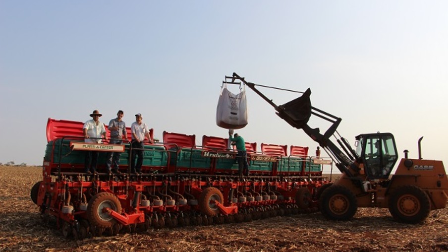 Colheita recorde de grãos no país é confirmada por Conab e IBGE