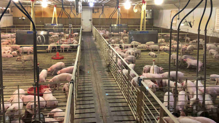 Brasil pede à Rússia maior prazo para cota de carne suína e agilidade em licenças