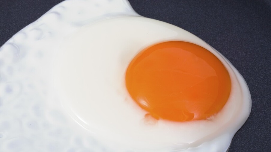 Estudos afirmam que o consumo de ovo na infância ajuda no desenvolvimento do cérebro