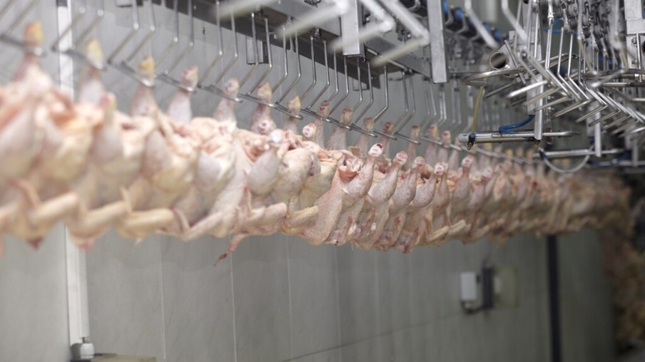 Carne de frango impulsiona crescimento de 10,8% nas exportações do Paraná