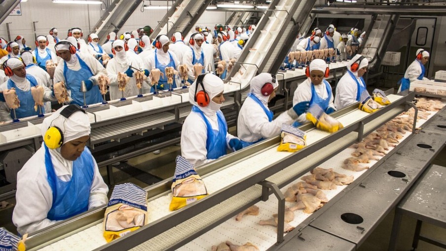 1º Tri/2023 bate recorde de abate de 1,60 bilhão de frangos, aponta IBGE