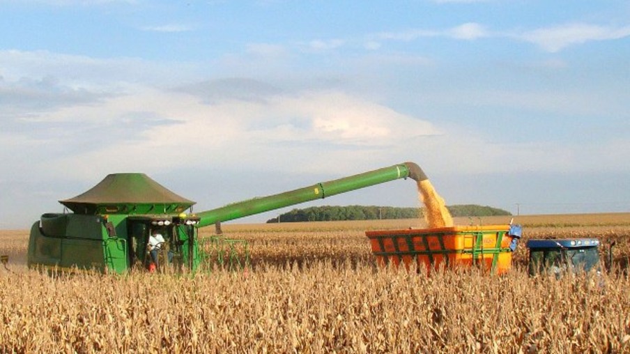 China fecha maior compra de milho dos EUA desde maio de 2021, diz USDA