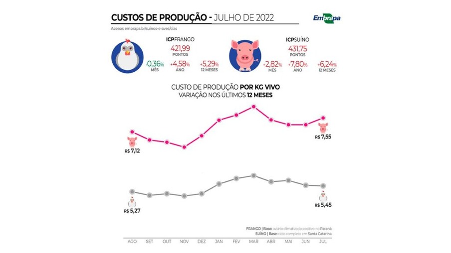Custos de produção de suínos sobem em julho