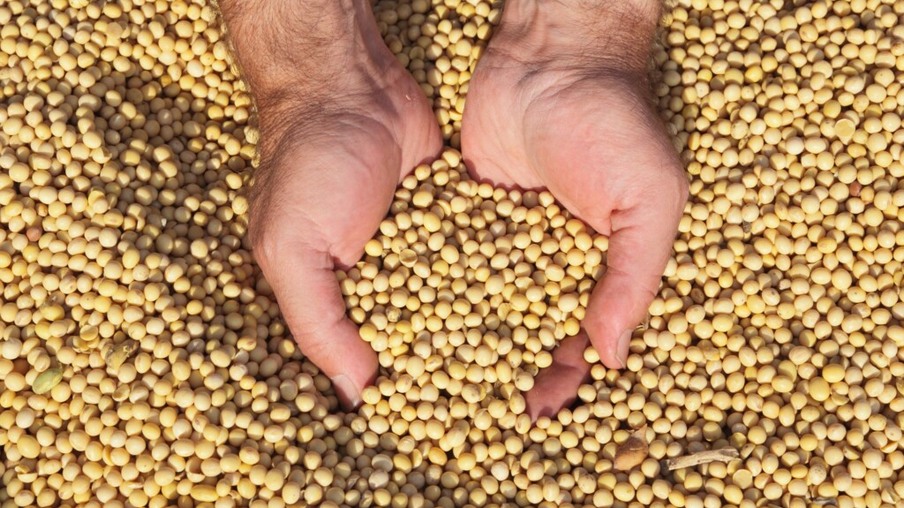 Argentina flexibiliza regras fiscais para importação de soja