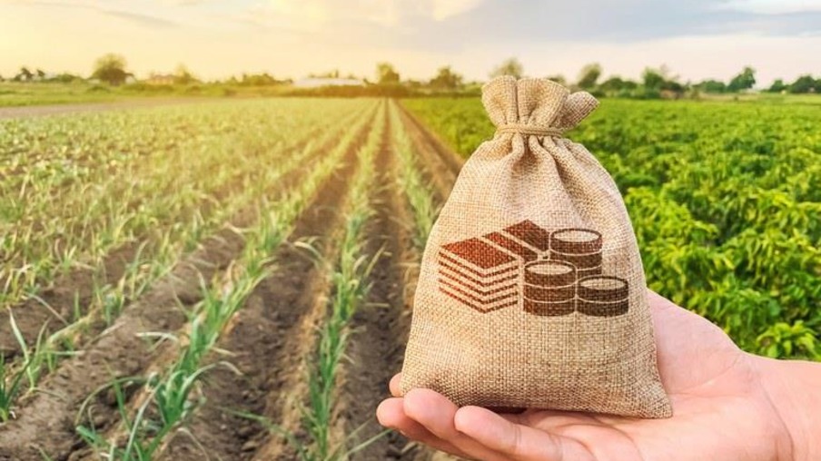 MAPA busca aumento de recursos para subsidiar juros no setor agrícola