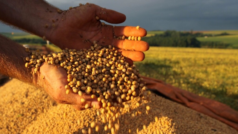 Agricultores argentinos venderam 30,5 milhões de toneladas de soja em 2020/21, diz governo