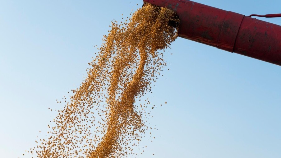 Condição da safra de milho nos EUA se deteriora, de acordo com o USDA