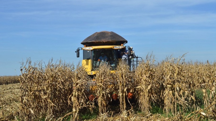 Nos EUA, colheita de milho está 20% concluída
