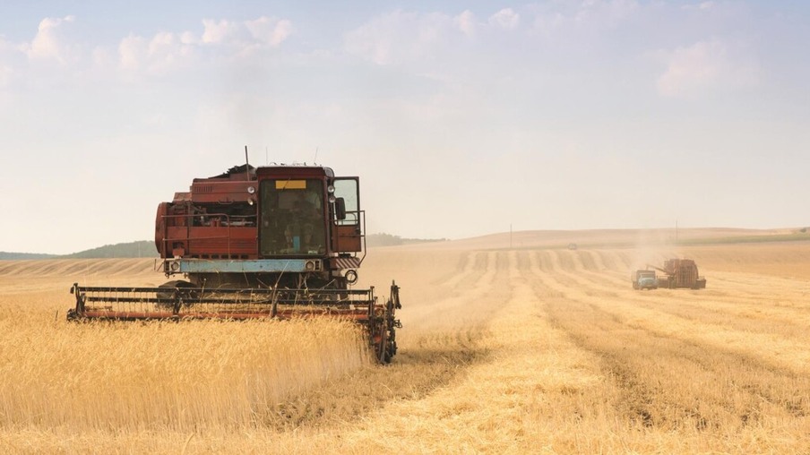 Autoridade russa diz que acordo sobre grãos pode fracassar se restrições a exportações russas não forem retiradas