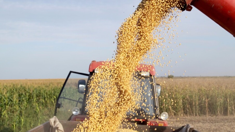 Previsões climáticas impulsionam contratos futuros da soja e milho em mais de 1%