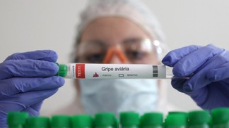 Austrália registra primeiro caso humano de influenza aviária