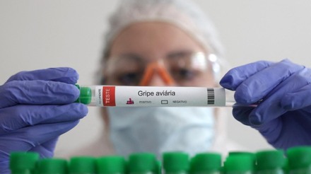Estudo científico indica potencial de expansão do vírus H5N1 da Gripe Aviária