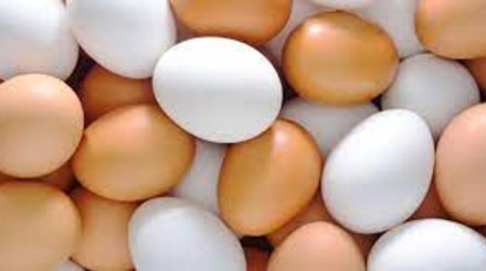 Preços dos ovos comerciais registram alta impulsionada pelo aumento da procura