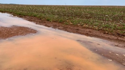 Entidades rurais de Mato Grosso solicitam ações emergenciais ao Ministério da Agricultura para enfrentar desafios climáticos